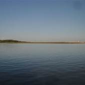 Goat Island
