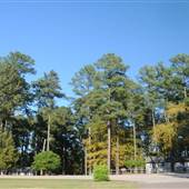 Hickory Knob Resort State Park - Cabins