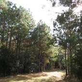 Lake House at Bulow - Trails & Around the Lake