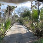 Dewees Island - Beach