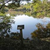 Huyler House Pond