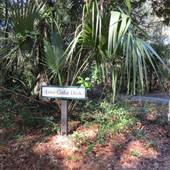 Dewees Island - Lone Cedar Dock