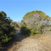 Dewees Island - Capers Inlet Beach