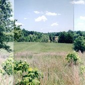 Daves Farm