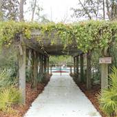 Johns Island - Villages at St. Johns Woods Clubhouse