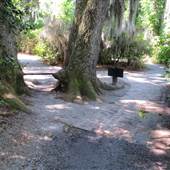 Magnolia Plantation & Gardens MAY LOOKS - Around the Lake to White Bridge