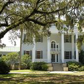McLeod Plantation 2015