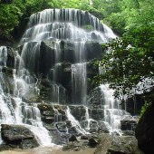 Yellow Branch Falls/ Sumter National Forrest