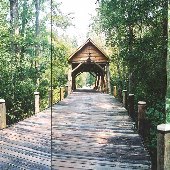 Covered Bridge