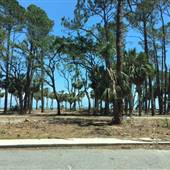 Hunting Island State Park - 2017