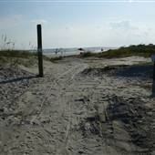 Folly Beach County Park - Sept (2017)