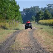 Backwoods Quail Club