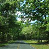 Pine Barron Plantation - Around the Grounds