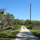 Sunnyside Plantation - Dock & Grounds (Late April 2018)