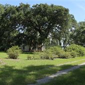 Millbrook Plantation - Summer 2018 - Around the House
