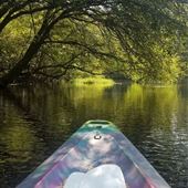 RiverRat's Kayak & Canoe Rentals
