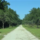 The Blessing Plantation -- Polo Fields -- September 2018