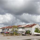 Old Navy Base - Blue Water Sailing