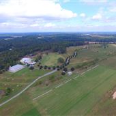 Triple Tree Aerodrome