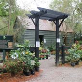 Magnolia Plantation & Gardens - Late October 2018 - Part 1
