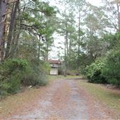 End of Tom Point Road