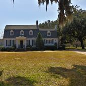 Oakland Plantation - Oak Allee, late February 2019