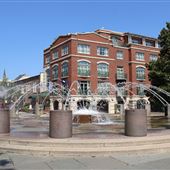 Charleston Waterfront Park - Interior Wooded Area