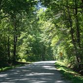 Lake Road