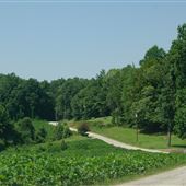 Old Settlement Road