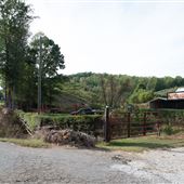 MacGreggors Orchard