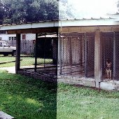 Dixie Kennels