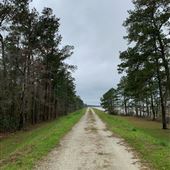 Santee Cooper - West Dyke