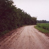 Winding Woods Road