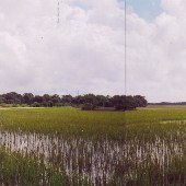 Backman Road