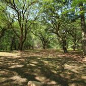 Hyde Park Plantation - Grounds