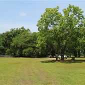 Johns Island County Park