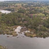 Tailwind Property