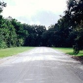 Riverland Road (Dill Santuary)