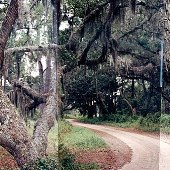 Steamboat Landing Road