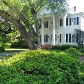 Walterboro Southern Mansion