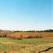 Sc Road 39