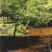 Barry's Mill Pond