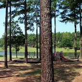 Veteran's Park