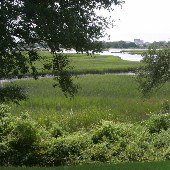 Tidewater Golf Club & Plantation