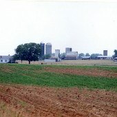 Busby Farm