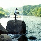 Saluda River Rapids
