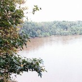 Congaree River (Buyck's Bluff Farm)