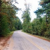Old Bluff Road