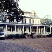 Tea Farm Road House