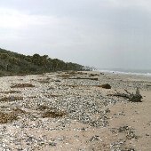 Botany Bay Plantation Heritage Preserve (Various looks)